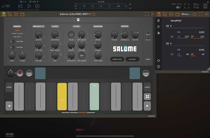 Salome_with_velocity_via_AUM