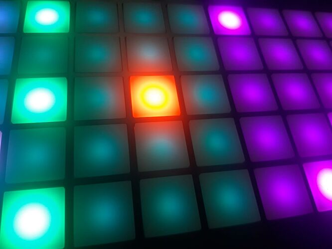 photo_2026-01-27 9.53.46 PM