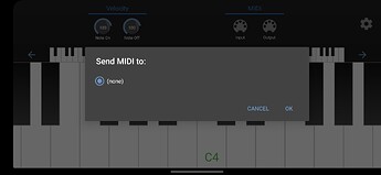 Screenshot_20231002_221452_MIDI Keyboard