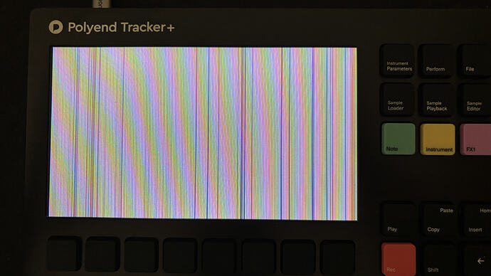 screenissue